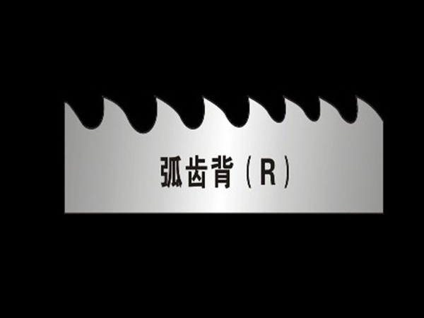 弧齿背