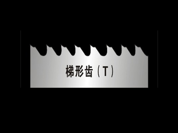 梯形齿
